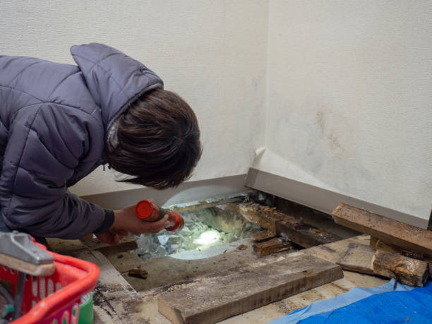 Best Biohazard Mold Removal  in Edgewood, NM