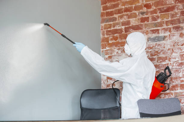 Best Real Estate Mold Inspection  in Edgewood, NM