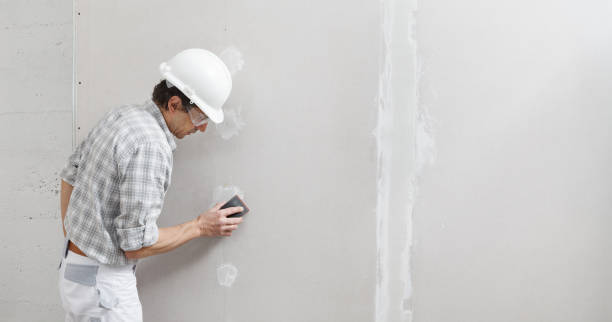 Best Asbestos and Lead Testing During Mold Inspection  in Edgewood, NM