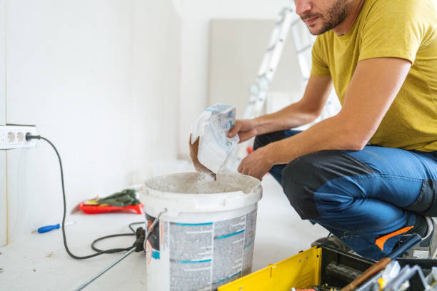 Best Mold Removal for HVAC Installations  in Edgewood, NM