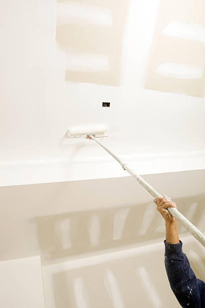 Best Environmental Consulting for Mold Prevention  in Edgewood, NM