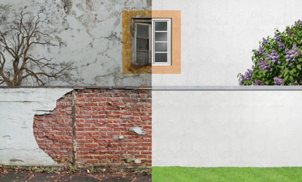 Best Mold Documentation for Insurance Claims  in Edgewood, NM